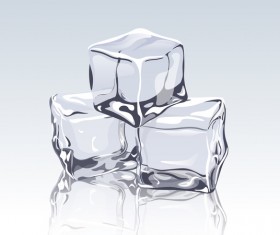 transparent ice cubes design vector