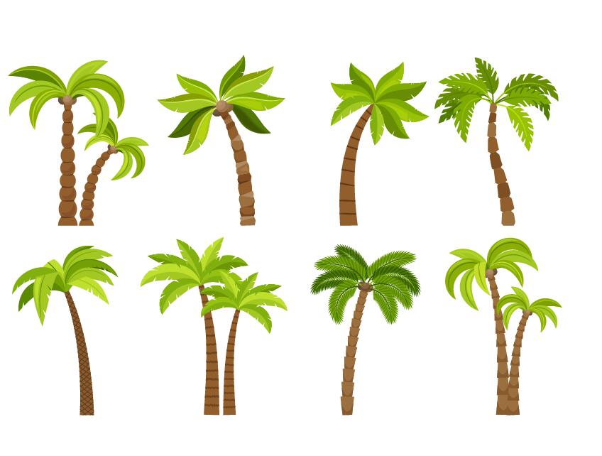 tropical tree illustration vector 01 free download