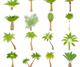 tropical tree illustration vector 02