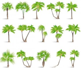 tropical tree illustration vector 03