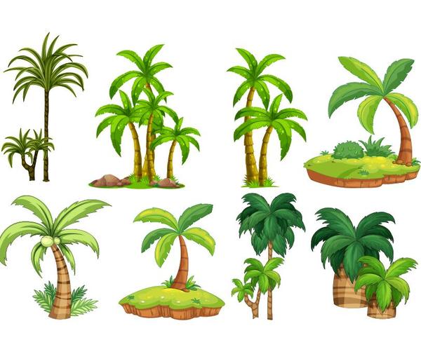 tropical tree illustration vector 04