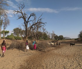 Africa grazing Stock Photo