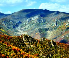 Among the mountain forests Stock Photo