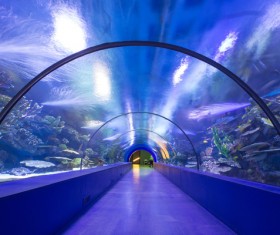 Aquarium corridor Stock Photo