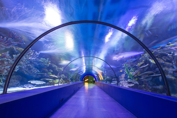Aquarium corridor Stock Photo