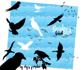 Bird Photoshop Brushes set