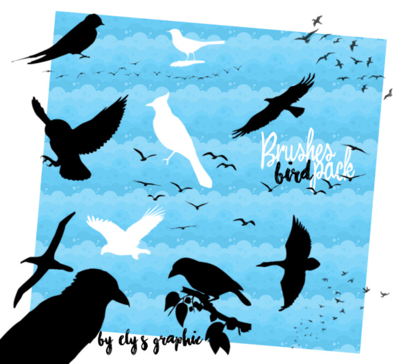 Bird Photoshop Brushes set