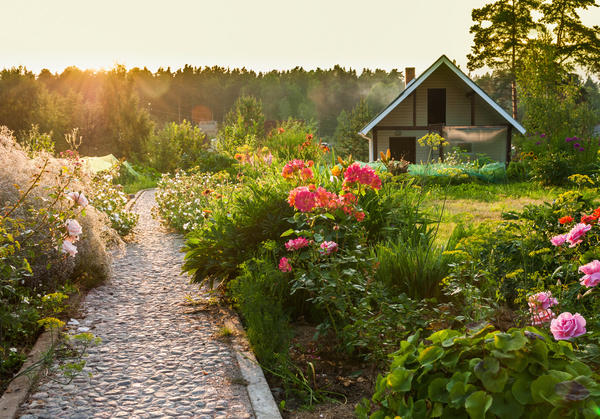 Blooming flowers and houses Stock Photo