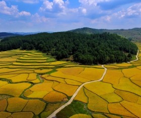 Blue sky under the beautiful farmland Stock Photo
