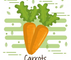 Carrots healthy food vector