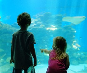 Children aquarium Stock Photo