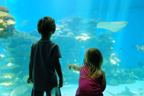Children aquarium Stock Photo