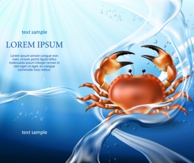 Crab with water background vector