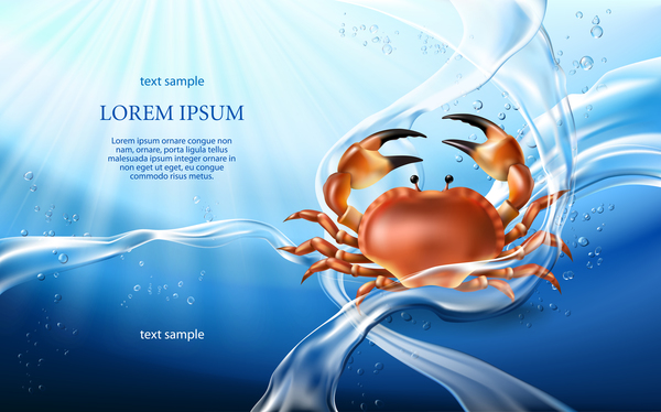 Crab with water background vector