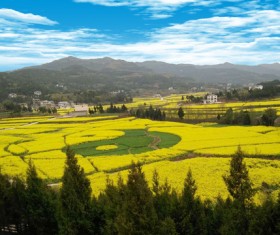 Creative Taiji farmland HD picture