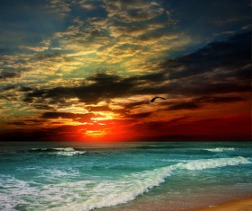 Dark clouds sunset birds Stock Photo