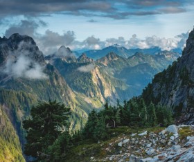 Deep in the mountains misty beauty Stock Photo