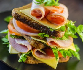 Delicious sausage and cheese sandwiches Stock Photo 01