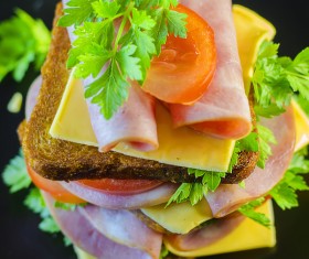 Delicious sausage and cheese sandwiches Stock Photo 03