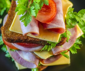 Delicious sausage and cheese sandwiches Stock Photo 04