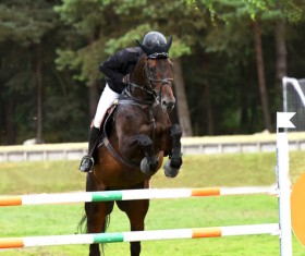 Equestrian competition Stock Photo 02