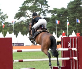 Equestrian competition Stock Photo 03