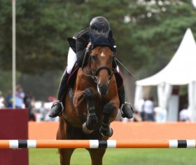 Equestrian competition Stock Photo 05