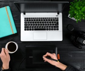 Female hand Stock Photo 01