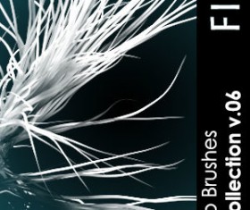 Fibers Photoshop Brushes