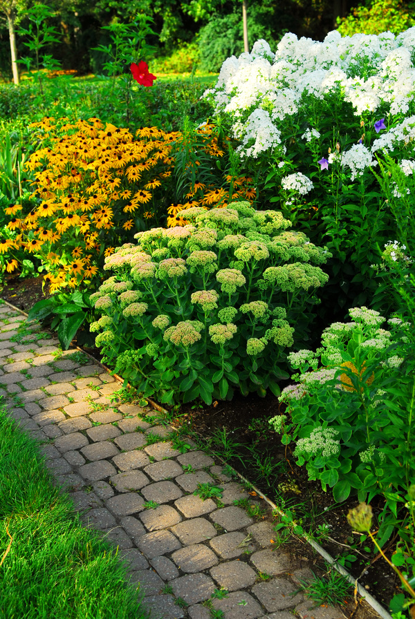 Flower garden path Stock Photo