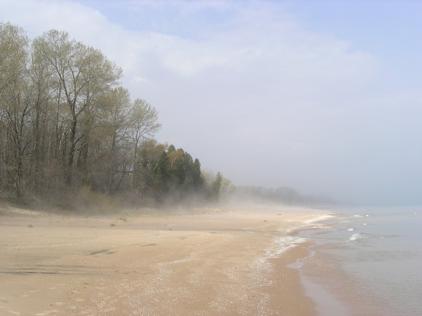 Fog-filled beaches Stock Photo
