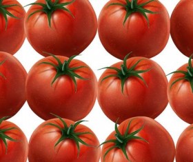 Fresh tomato pattern vector