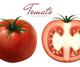 Fresh tomato with slice background vector