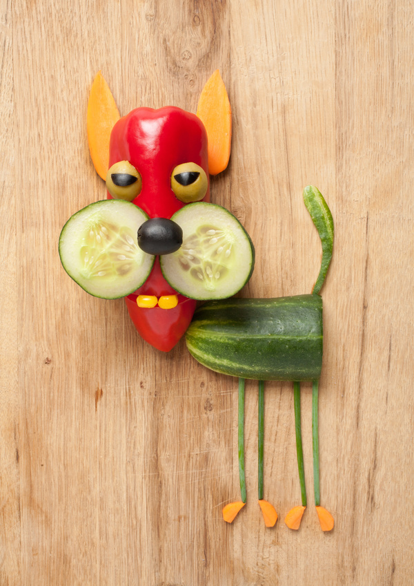 Fruit and vegetable creative animals Stock Photo 02