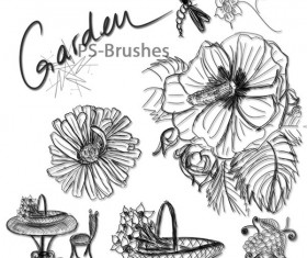 Stroke Brush Set - Photoshop brushes