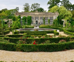 Garden plant wall Stock Photo