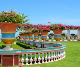Garden potted flowers Stock Photo