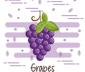 Grapes healthy food vector