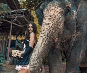 HD picture Beautiful woman with elephant