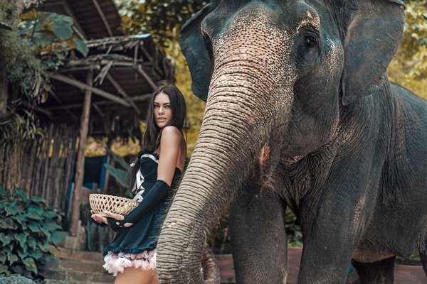 HD picture Beautiful woman with elephant