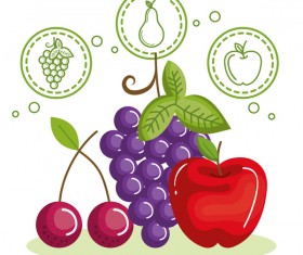 Healthy natural food vector 02