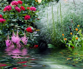 Hetang flowers Stock Photo