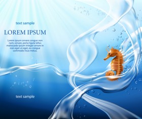 Hippocampus with water background vector