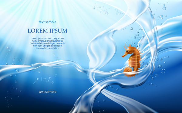 Hippocampus with water background vector