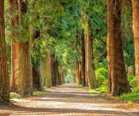 Lin Yin Road Stock Photo