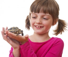 Little girl holding a mini tortoise HD picture