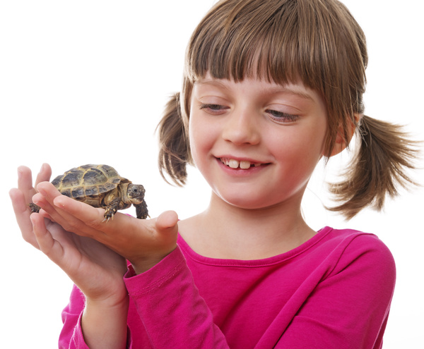Little girl holding a mini tortoise HD picture