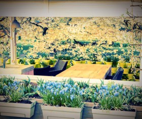 Outdoor terrace cafe HD picture 16