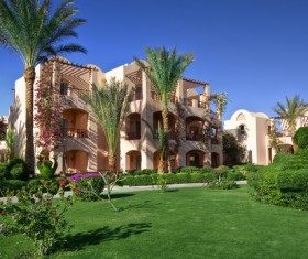 Palm trees and vacation homes Stock Photo