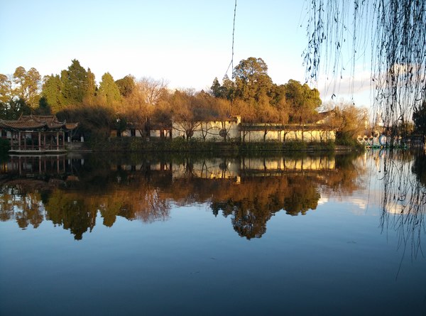 Park Lake beautiful reflection HD picture